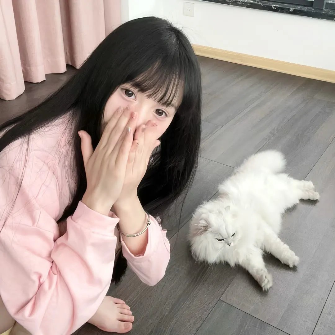 铁血战狼