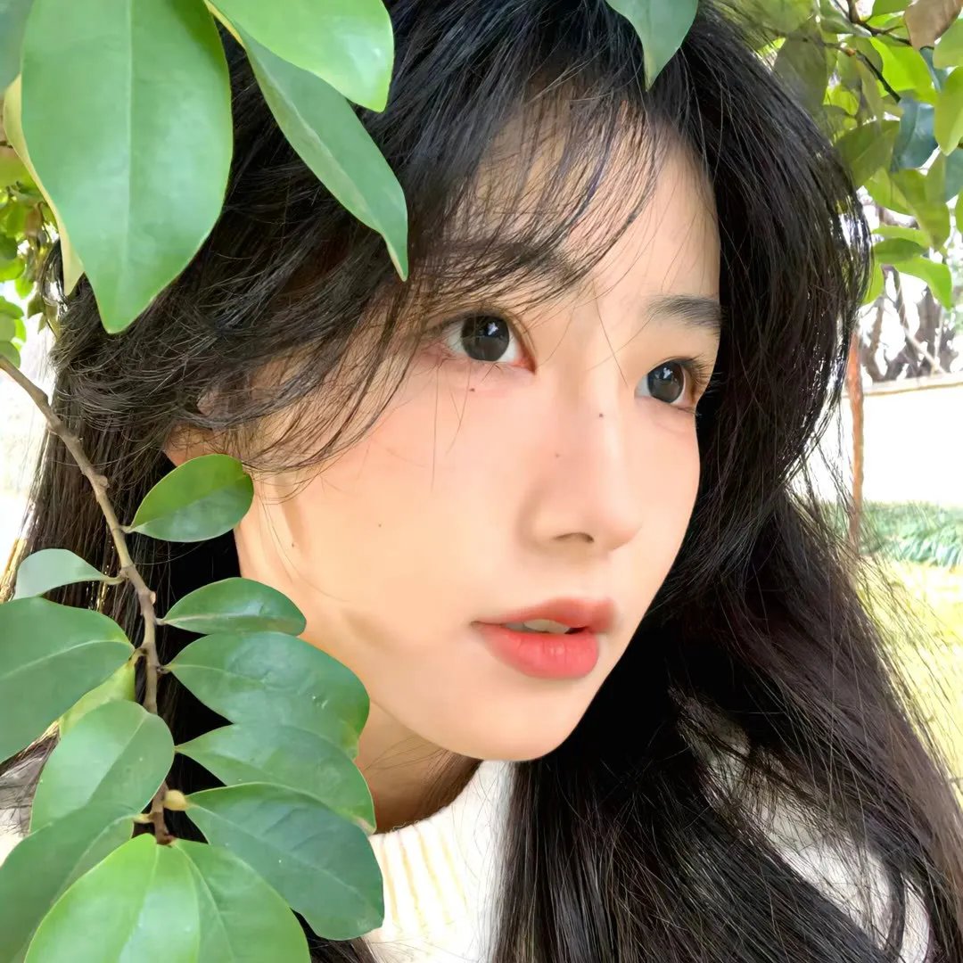 请问芳名